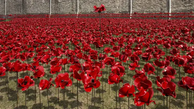 每朵瓷罌粟都以25英鎊的價格預售一空。