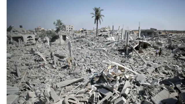 حماس کے ترجمان اسامہ حمدان نے ایک بیان میں کہا ہے کہ ان کے پاس یا کسی فلسطینی گروپ نے اسرائیلی گوجی کو اغوا نہیں کیا ہے۔ ’یہ اسرائیلی پروپیگینڈا ہے رفح میں شہریوں کی ہلاکت کو جائز قرار دینے کی کوشش ہے۔‘