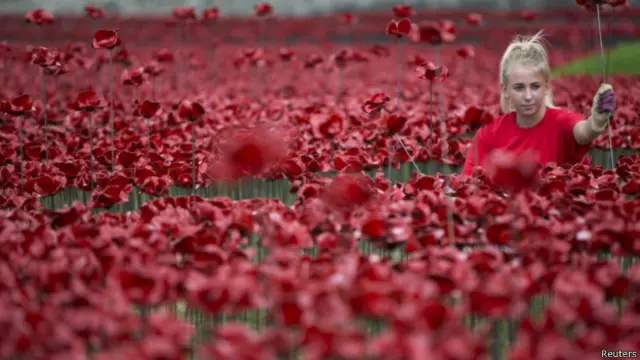 گل قرمزرنگ خشخاش، برای یادبود کشته‌شدگان جنگ جهانی اول