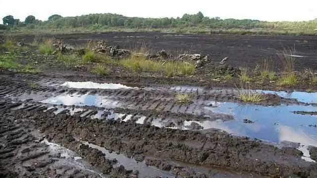 Di rawa-rawa gambut bernama Lindow Moss di Desa Cheshire, Inggris, mayat pria itu ditemukan.