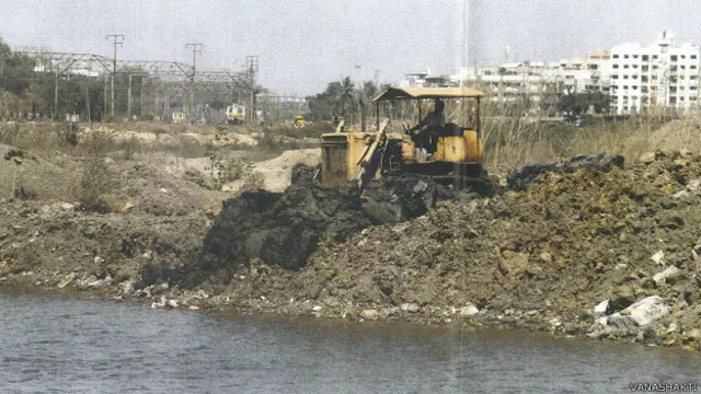 मुंबई दलदली क्षेत्र