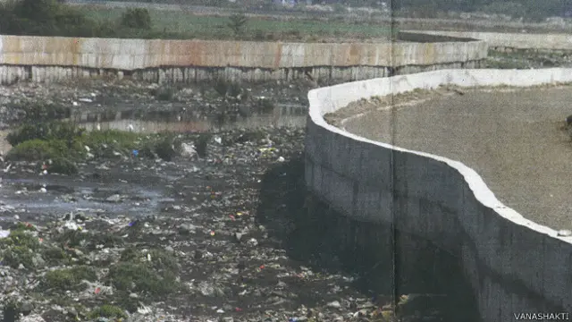 मुंबई दलदली क्षेत्र