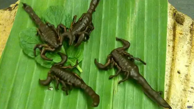 काला बिच्छू