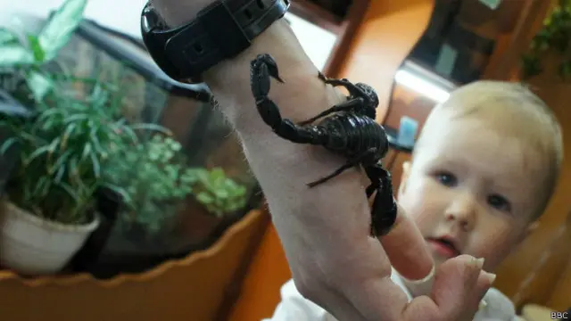 काला बिच्छू