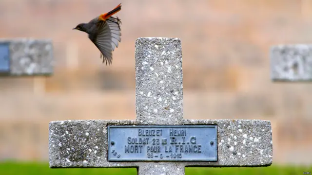 چار سال جاری رہنے والی پہلی جنگِ عظیم میں 72 ملکوں نے شرکت کی اور اس میں 90 لاکھ سے زیادہ فوجی ہلاک ہوئے۔ 