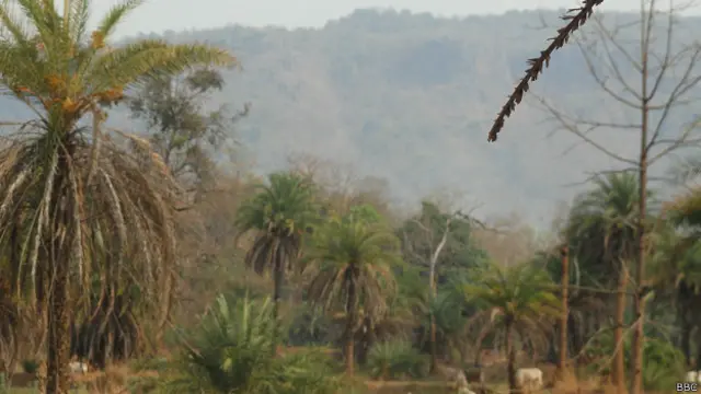 छत्तीसगढ़, रावघाट की पहाड़ियां