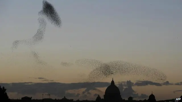 Estorninhos voam no céu de Roma