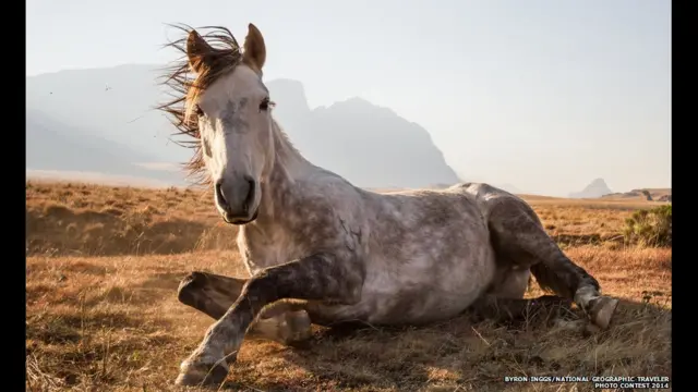 Uma tempestade dramática, uma paisagem subaquática e um festival Hindu são alguns dos vencedores do concurso National Geographicwww bet365Fotoswww bet365Viagem