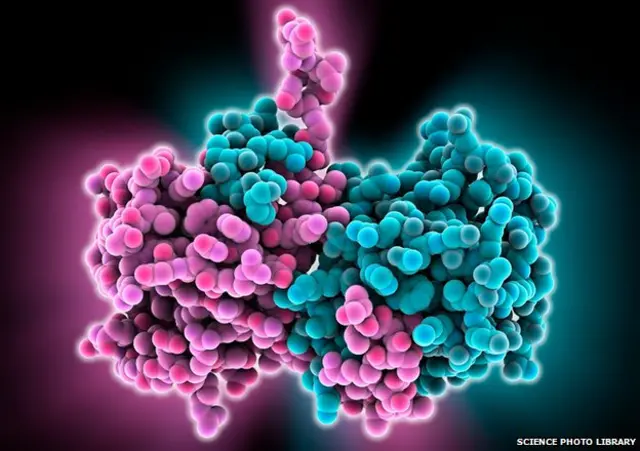 Ebola | Crédito: Science Photo Library