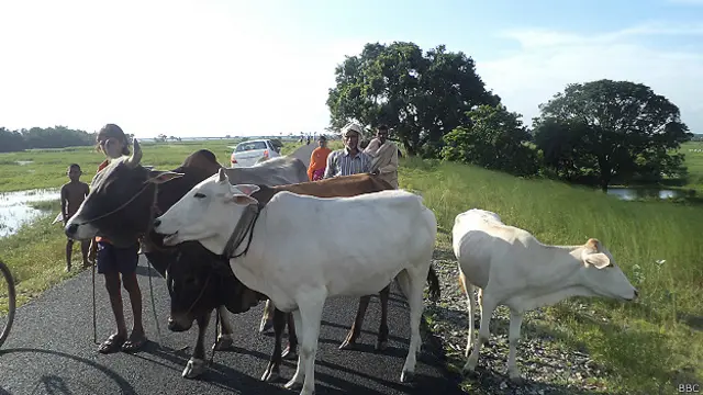 बिहार, बाढ़ प्रभावित लोग