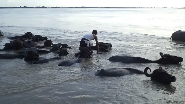 بہار کے مختلف اضلاع کے بہت سے گاؤں بارش کی وجہ سے مشکلات کا شکار ہیں