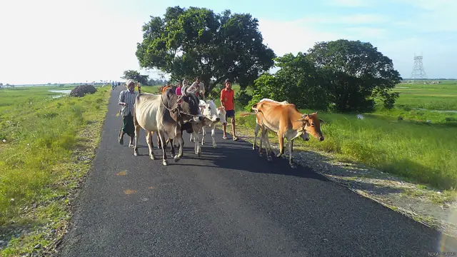 सहरसा बाढ़