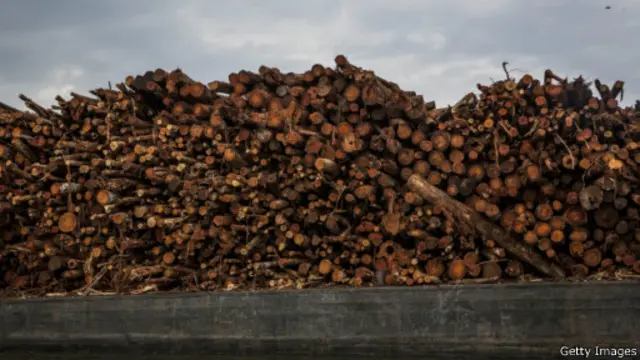 سرعت جنگل‌زدایی در اندونزی از هر نقطه دیگری در دنیا بیشتر است، بیش از ۸۴۰ هزار هکتار در سال 