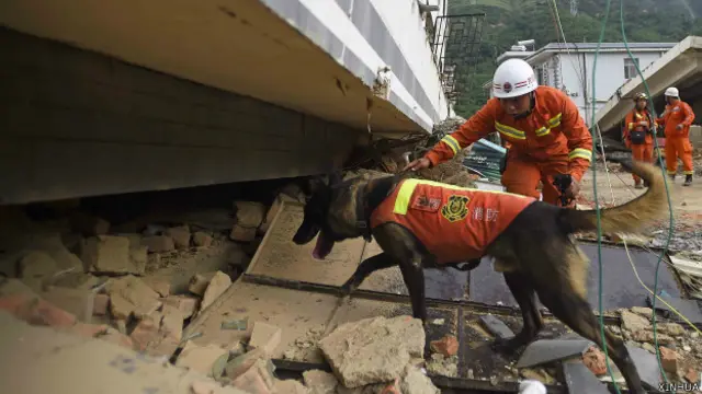 ژغورونکي له کنډوالو د مړو رایستلو بوخت دي.