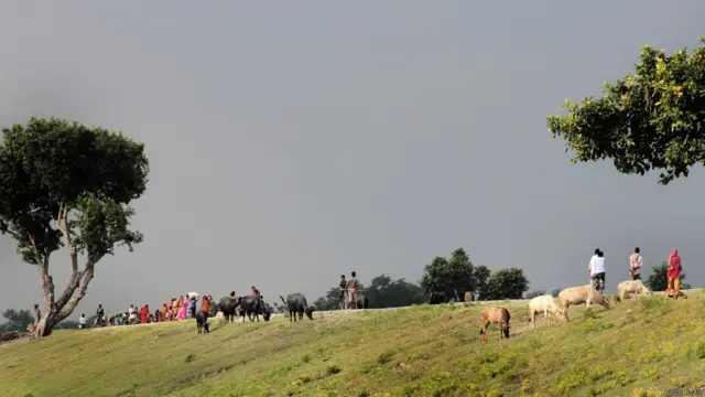 बिहार, कोसी, बाढ़