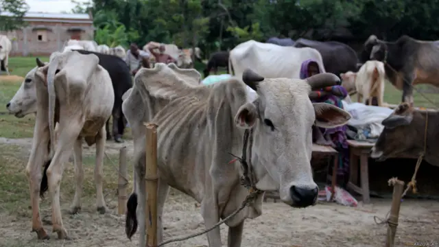 बिहार, कोसी, बाढ़