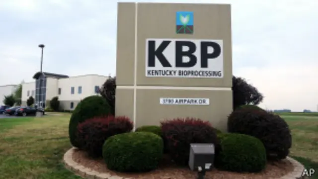 El fármaco que aparentemente dio resultados positivos en los trabajadores estadounidenses se produce en Kentucky.
