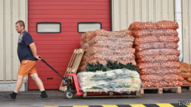 وزیراعظم دمتری میدویدیف کا کہنا ہے کہ اس پابندی کا اطلاق پھلوں، سبزیوں، گوشت، مچھلی اور دودھ کی بنی اشیا پر ہوگا