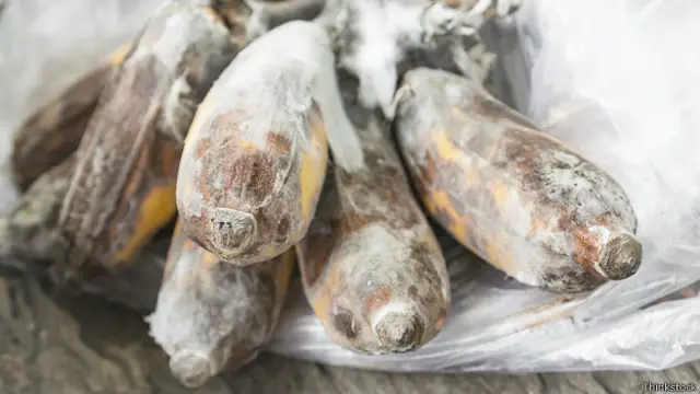 Плесень на бананах