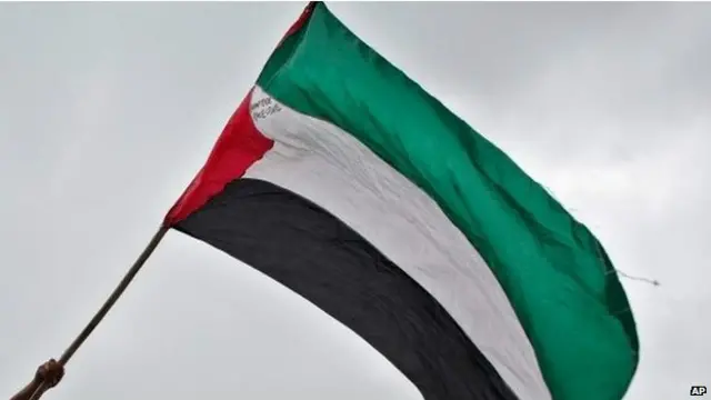 سال 2012 میں اقوام متحدہ نے فلسطین کو مبصر ریاست کا درجہ دیتے ہوئے اسمبلی میں ہونے والی بحث میں حصہ لینے کی اجازت دی تھی