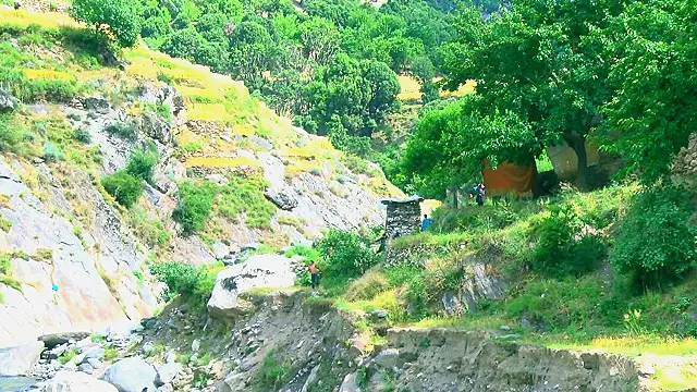 د یادې جګړې د مرګ ژوبلې په اړه دم ګړۍ څه نه دي ویل شوي