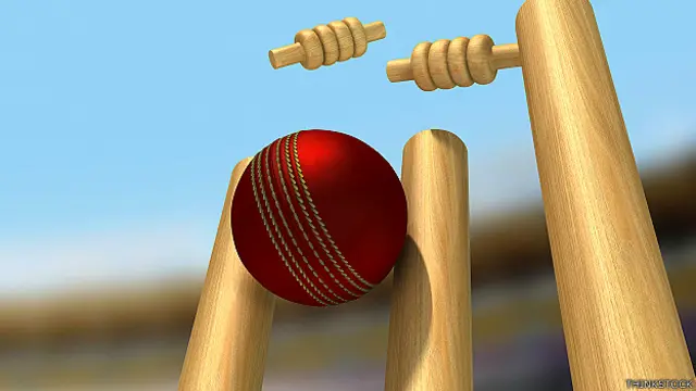 क्रिकेट बॉल और विकेट