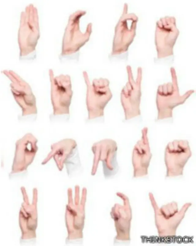 Sistema de Señas Internacional.