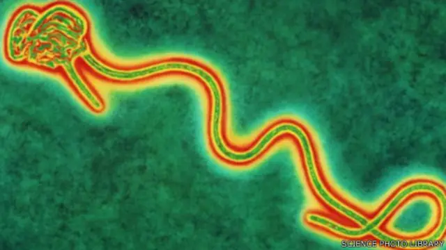 يتسم هذا الفيروس بطبيعة فتاكة تزيد من خطورة انتشاره