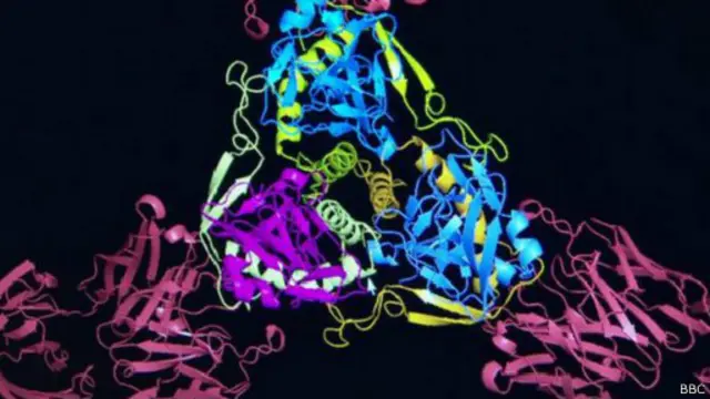 يخضع المصابان الأمريكيان بفيروس الإيبولا لعلاج لا زال في طوره التجريبي