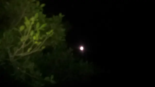 "می‌ترسم اما سرم را بالا نگه می‌دارم. در دل شکی ندارم که روزی فلسطین آزاد خواهد شد"