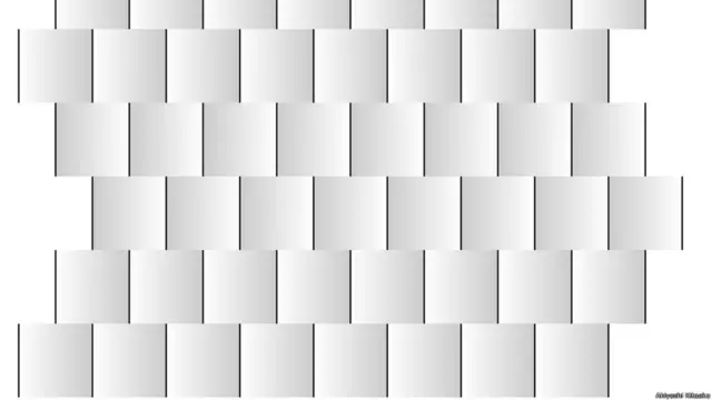 El profesor Kitaoka crea imágenes como ésta, que parecen estar en movimiento... hace más de una década.