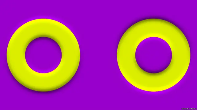 El trabajo de Kitaoka también tiene un costado divertido. El científico se hizo famoso cuando una de sus creaciones fue usada para ilustrar el álbum "ArtPop" de Lady Gaga, lanzado a fines de 2013.