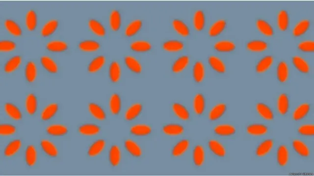 Los trabajos del científico japonés ya se transformaron en libros ilustrados y rompecabezas.