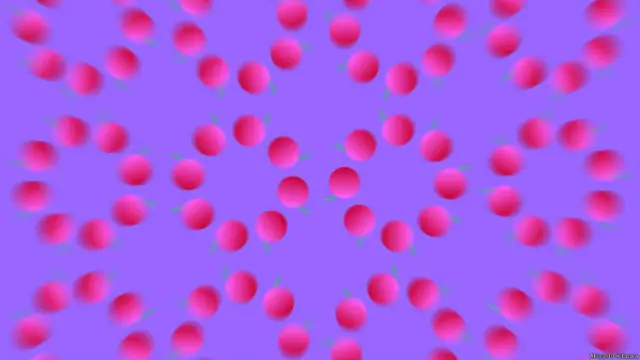 Cuando le preguntaron si se definía más como científico que como artista, el profesor Kitaoka respondió sin titubear: "Ambos".