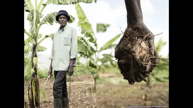 Furaha Rwanyindo Emmanuel, Nyarugenge District, Kigali, Rwanda