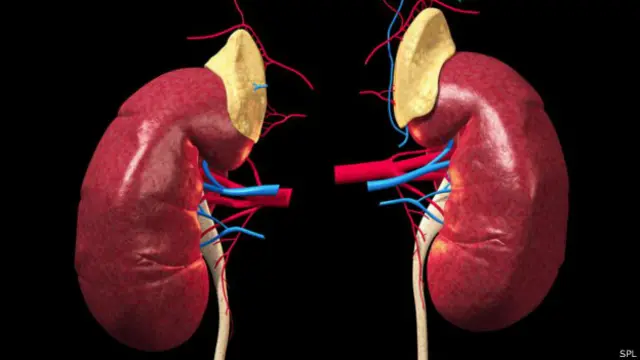 Mbinu hii bila shaka inatoa matumaini makubwa mno na wagonjwa wanaohitaji kutumia mashini kusafisha damu yaani ''dialysis''