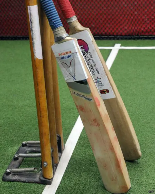 क्रिकेट बैट 'फ़ॉल्कन ब्लेड.' इसे आईआईटी मुंबई के छात्रों ने बनाया है.