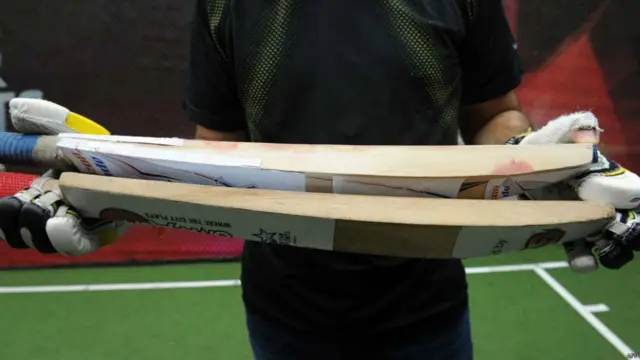 क्रिकेट बैट 'फ़ॉल्कन ब्लेड.' इसे आईआईटी मुंबई के छात्रों ने बनाया है.