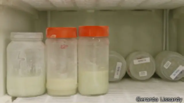 Leche materna en refrigeración.