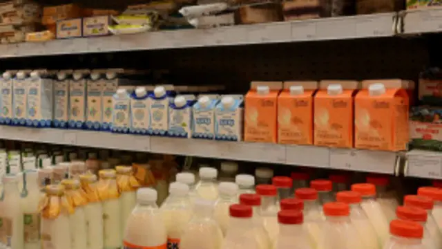 استفاده از روغن پالم در پنیر و خامه و بستنی از اول مهر ممنوع میشود