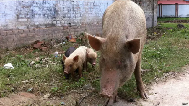Дом-музей Джорджа Оруэлла