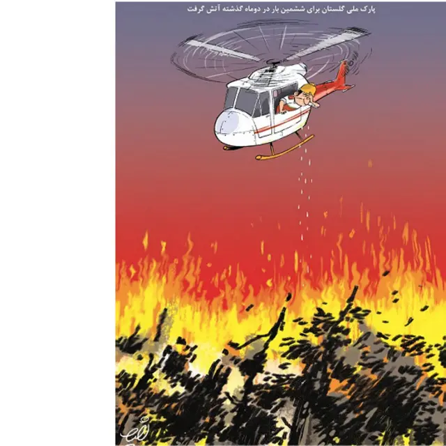 نعیم تدین، شهروند