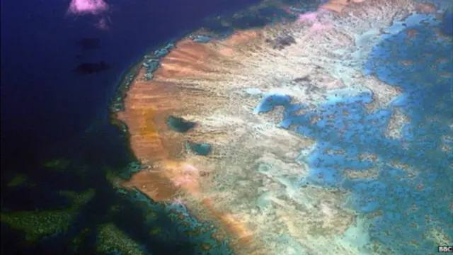 great barrier reef