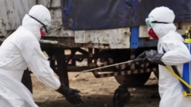 عالمی ادارۂ صحت ایبولا کو مغربی افریقہ تک ہی محدود رکھنے کے لیے کوشاں ہے