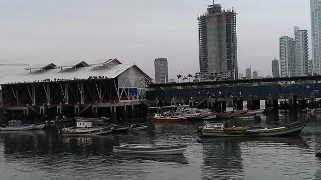 最早抵巴的华人是在1854年3月30日登陆巴拿马湾码头，并参与了穿越太平洋与大西洋间的巴拿马铁路工程。