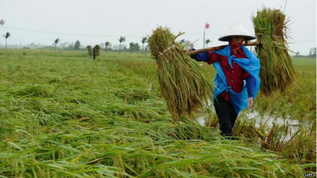Các tỉnh thành tại Việt Nam bị cho là tính GDP cao hơn so với thực tế