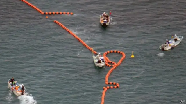 جزیره اوکیناوا