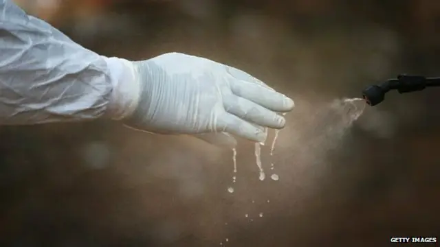 ایبولا ایک متاثر شدہ شخص کے جسمانی رطوبتیں سے رابطہ کرنے سے پھیل سکتی ہے۔