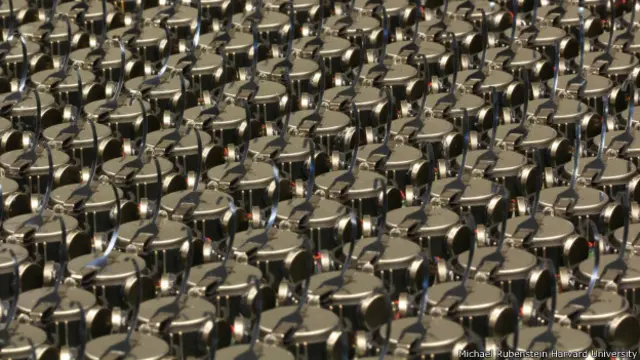 Los investigadores se basaron en el comportamiento de las hormigas para crear la tecnología.