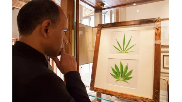 Museo del Cannabis de Barcelona